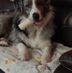 Meet your Posher, Barbara